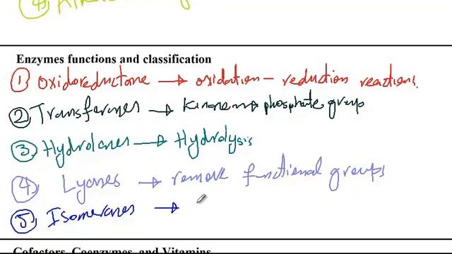 Amino acids, proteins, and enzymes | Biology 1 | MCAT ACE