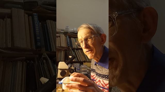 Що ви знаєте про комарів, які живуть і літають у вашому будинку чи квартирі? Про домашніх комарів.