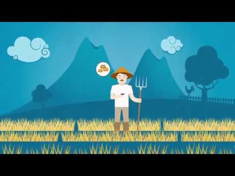 SMARTseeds and GREENcoffee. Information technology for sustainable farming смотреть онлайн