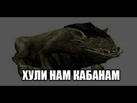 Stalker online (Stay Out) Охота на кабана! смотреть онлайн