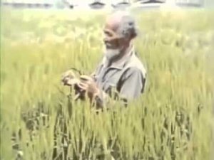 Масанобу Фукуока Сад природы