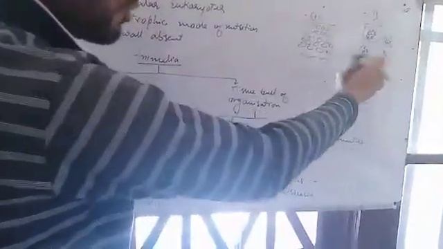 CLASS 9 SCIENCE TOPIC SCIENCE DIVERSITY IN LIVING ORGANISMS PART 9 смотреть онлайн