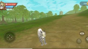 страшилка:не играй в вилд крафт В 3 ЧАСА НОЧИ!