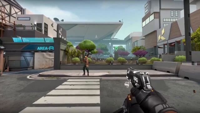 NRG VCT Classic Skin Animation | #VALORANT