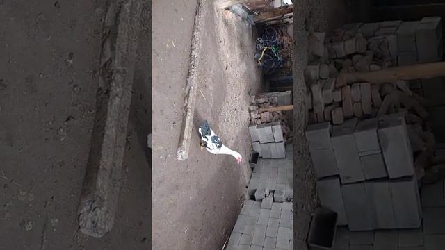 индаутка селезндеры сатылад смотреть онлайн