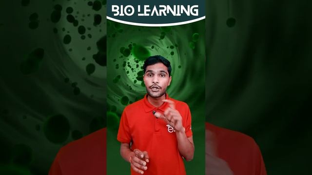 IN DIFFERENT KINGDOMS WHAT TYPE OF CELLS ARE THERE? #cbseboard #cbse #cbsebiology #cbseclass10