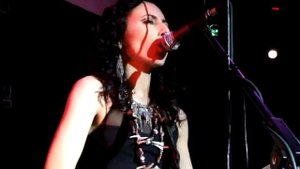 Шел по дикой прерии дилижанс  - Канцлер Ги