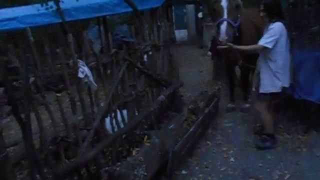 как мы сломали скамейку)) смотреть онлайн