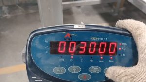 Xk3118T1 Calibration balance