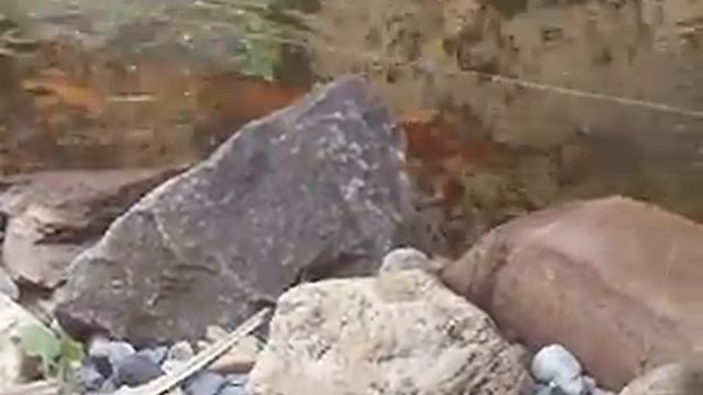 Время нереста KOI