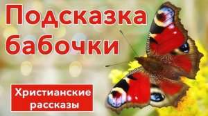 Подсказка бабочки - ИНТЕРЕСНЫЙ ХРИСТИАНСКИЙ РАССКАЗ | Христианские рассказы #рассказы