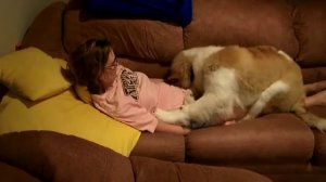 dog+girls xxx video