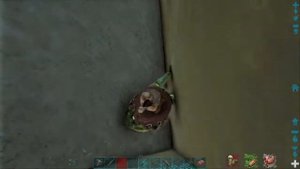 ARK: Survival Evolved найс застрял