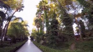 Hotel Delphin Botanik Platinum