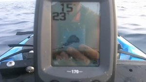 Humminbird PM-170 FishFinder Readings