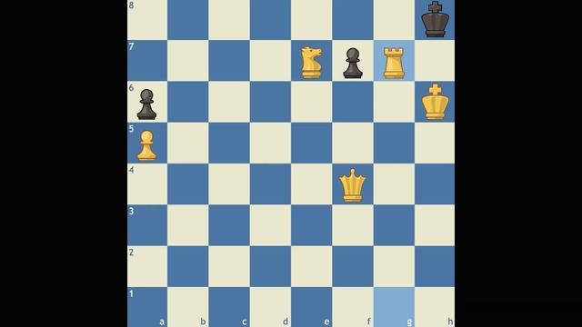 Пат. Chesskid смотреть онлайн