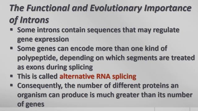 AP Biology - From Gene to Protein