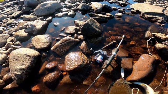 Многоликая СтРеЛьнА, что бы ее... 2024