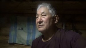Воспитание охотничьей лайки, Бэлэх, Якутия,
