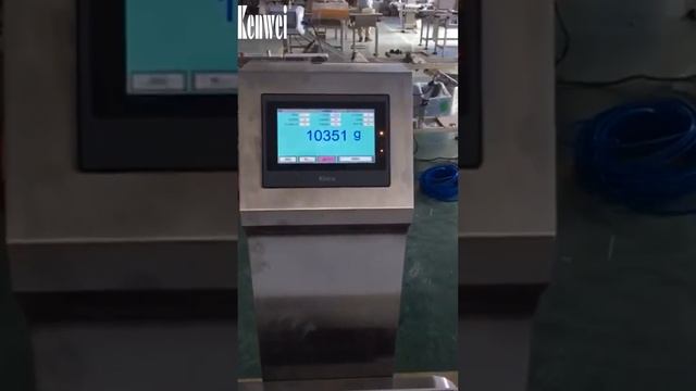 Динамические весы  чеквейер для тяжелых упаковок 30 кг