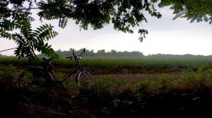 4664360-uhd_3840_2160_30fps