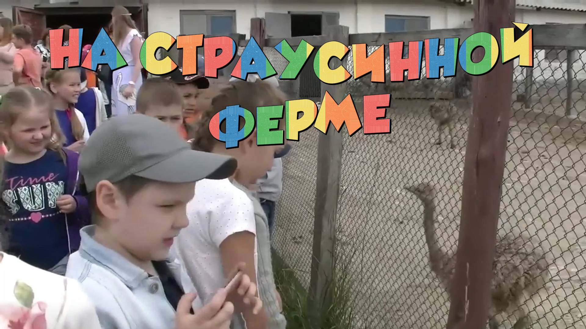 Экскурсия на Страусинную ферму