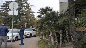 Сочи | центральный район