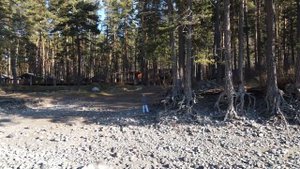 Горный Алтай Орлиное гнездо 2022