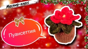 Плюшевая магия: Вяжем крючком РОЖДЕСТВЕНСКУЮ ЗВЕЗДУ🌟она же ПУАНСЕТТИЯ🌺она же Молочай красивейший