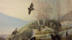 История Сибая, в музее г.Сибая, Башкортостан