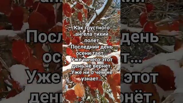 Последний день осени! #последнийденьосени