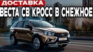 Первый пошёл! ЦВЕТНАЯ Веста св Кросс - КОРИАНДР впервые доставлена в ДНР!