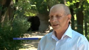 Обновление зеленых насаждений в парке села Чобручи