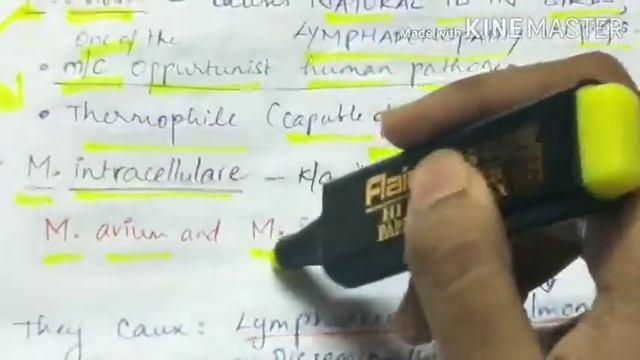 Non-tuberculous mycobacteria | Microbiology | Handwritten notes смотреть онлайн