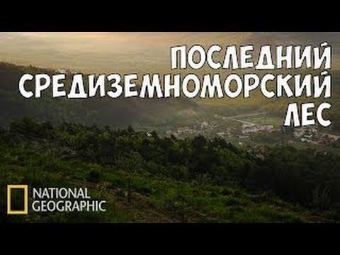 Дикая природа Средиземноморья #128