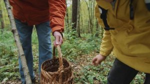 6133709-uhd_4096_2160_25fps