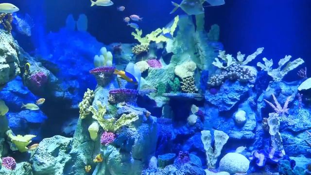 НЕ СДЕРЖАЛСЯ И ПРИТИСНУЛ ХОРОШО. Истории из жизни. Аудио рассказы измена жены в браке смотреть онлайн