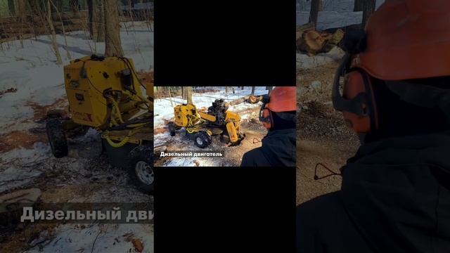 Дробление пней. Carlton sp4012. До 60 пней за смену. Дробит Wolfa 🔥