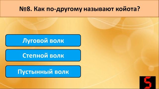 Интересный тест на эрудицию и кругозор. Проверь свой уровень знаний І #квиз #викторина #эрудиция