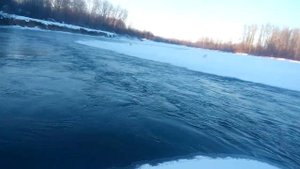 Добыл лису! МР-18МН 308win.