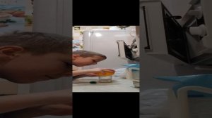 молоко + лимонный сок - кефир🥛-_-.mp4