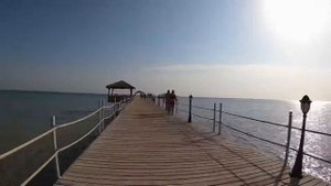 Albatross beach club Египет 2021
