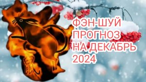 ФЭН-ШУЙ ПРОГНОЗ НА ДЕКАБРЬ 🐭МЕСЯЦ ОГНЕННОЙ КРЫСЫ#12