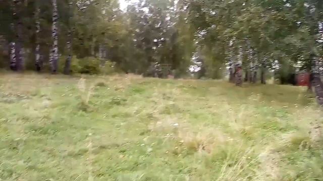 Кошмар в Лесу смотреть онлайн