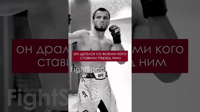 Кормье заступился за Умара Нурмагомедова "Его фамилия не причем!" | FightSpaceMMA