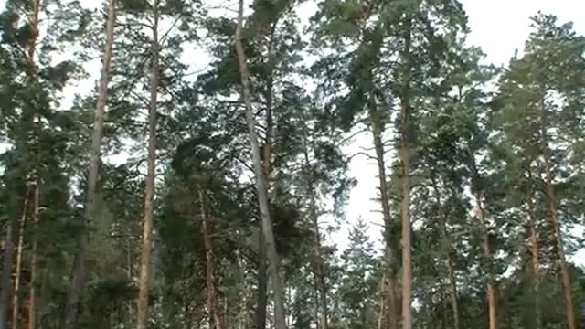 ВІДЕО ТК “РОСЬ”. ЯК У ЧЕРКАСЬКОМУ ЛІСГОСПІ БОРОНЯТЬ ЛІСИ ВІД ПОЖЕЖ смотреть онлайн