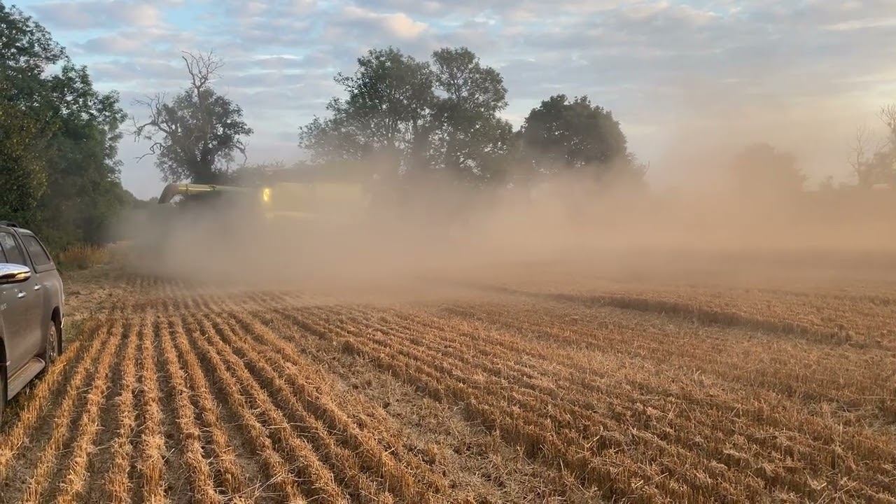 Harvest 2022 Day 15