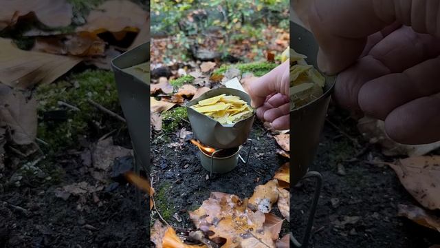 Survival Skills Amazing Beeswax Candle. #survival #camping #outdoors #bushcraft