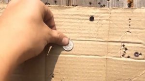 Просто стрельнул с ibon