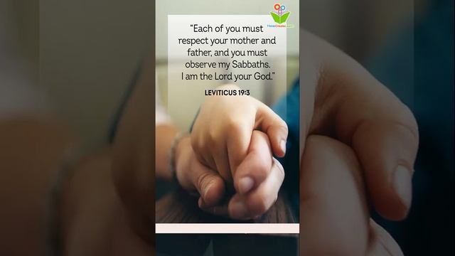 Each of you must respect your mother #bible quotes #christ #proverbs #thinkcreatelearn смотреть онлайн